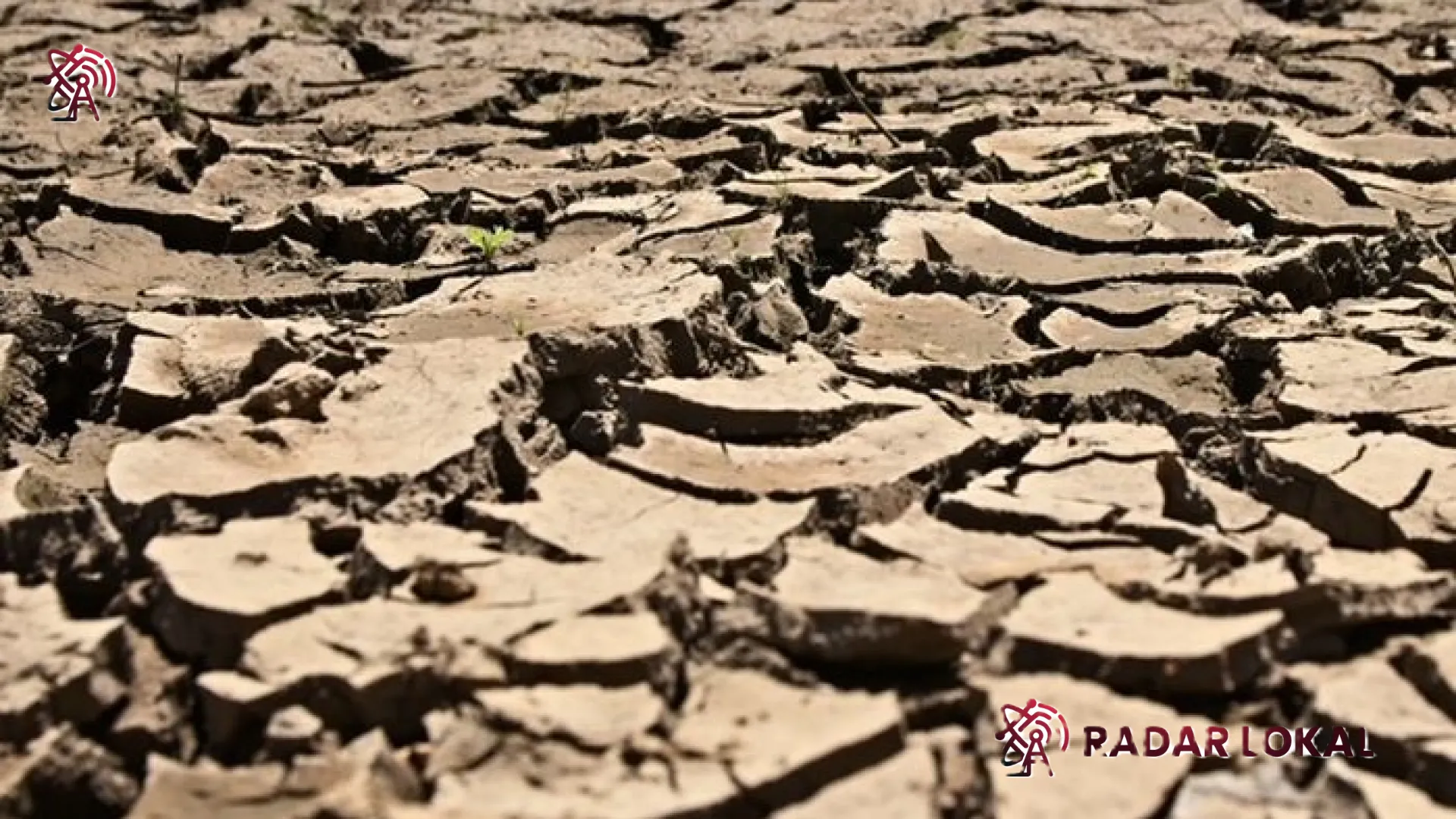 Ancaman Super El Nino 2026: Mengapa Fenomena ‘Cincin Panas’ Pasifik Bisa Membuat Bumi Makin Mendidih