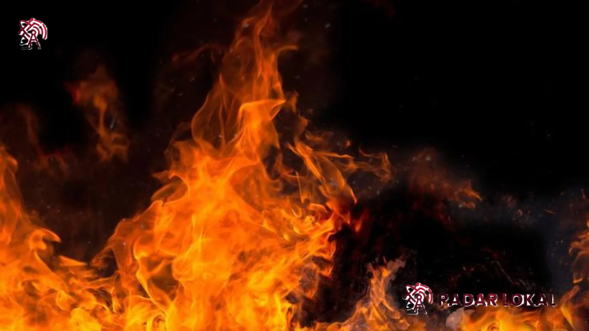 Tragedi Berdarah di Tanah Abang: Gara-gara Rebutan Penumpang, Sopir Angkot Tega Bakar Teman Sejawat