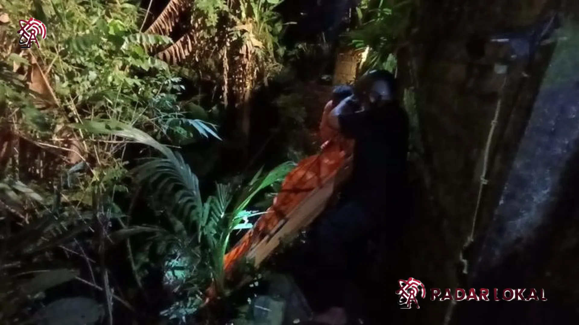 Tragedi di Lembah Petulu: Wisatawan Swedia Ditemukan Tak Bernyawa di Dasar Jurang Ubud