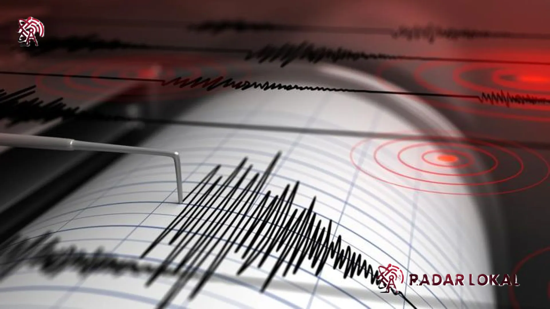 Manokwari Diguncang Gempa Magnitudo 4,5: Warga Rasakan Getaran Mirip Truk Melintas di Tengah Malam