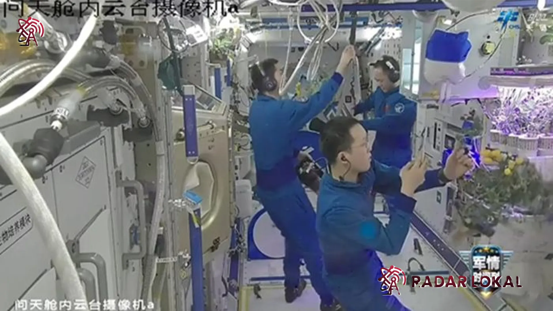 Revolusi Pertanian di Orbit: Keberhasilan Astronaut China Panen Tomat di Stasiun Antariksa Tiangong