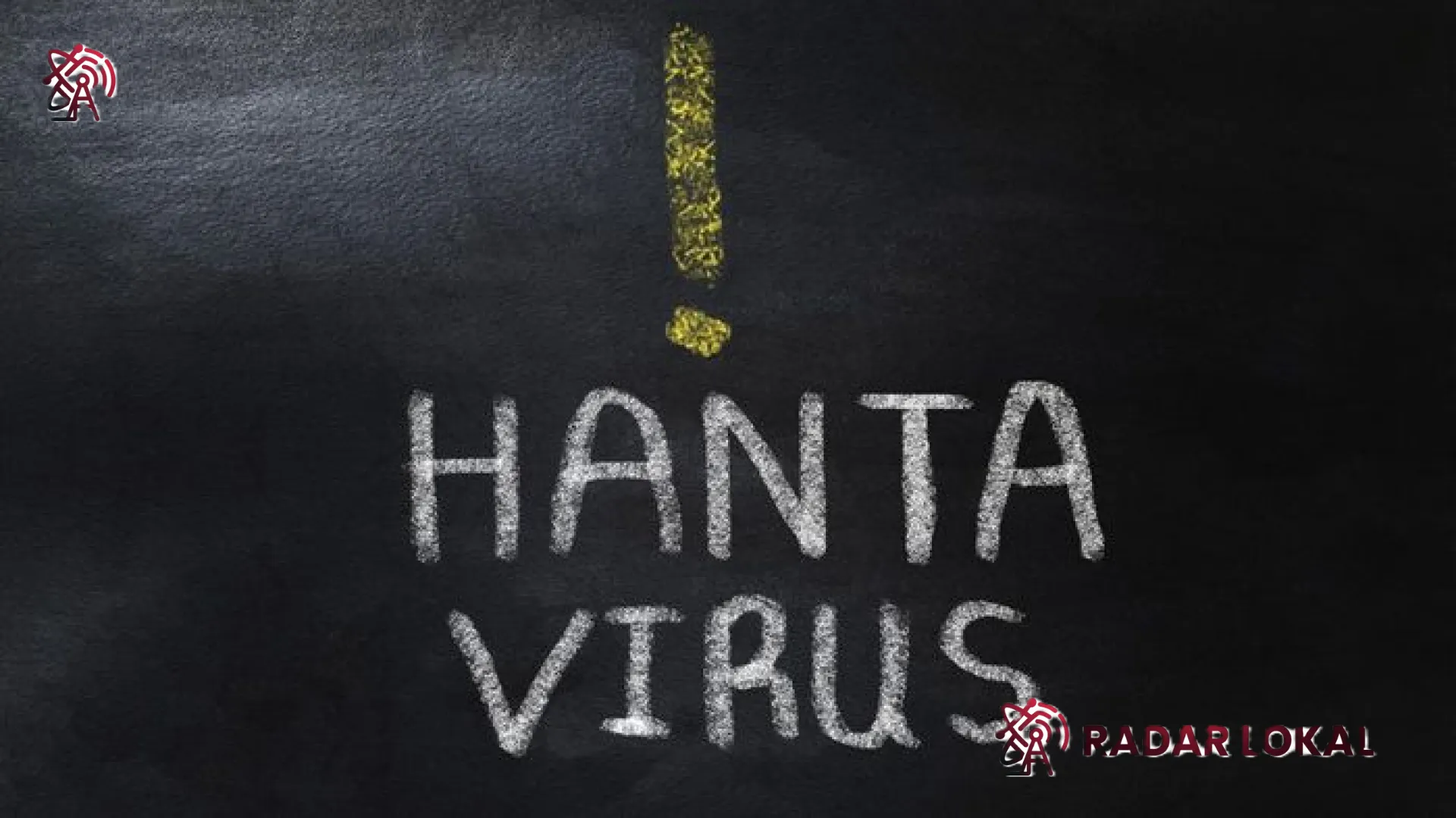 Waspada Ancaman Zoonosis: Hantavirus Terdeteksi di Jawa Timur, Kenali Gejala dan Cara Pencegahannya