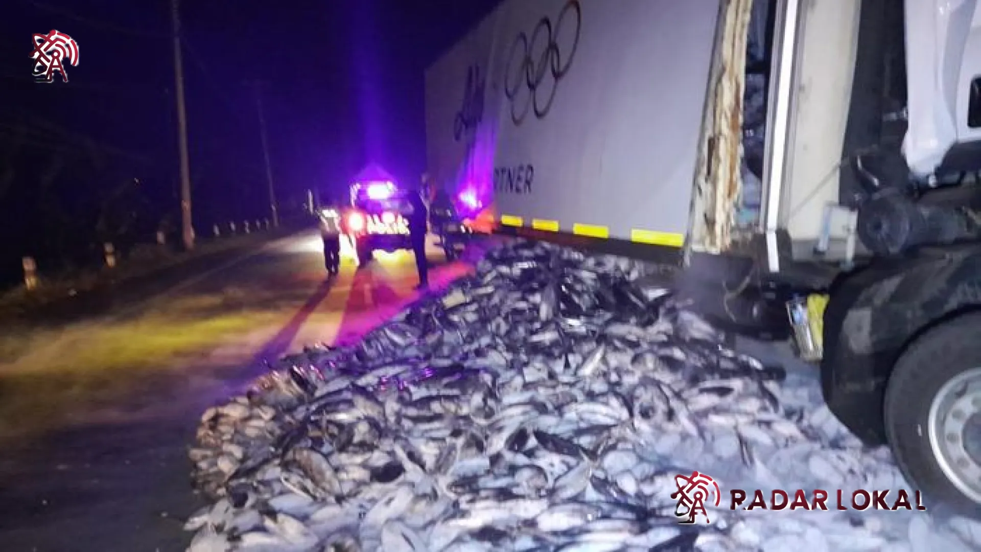 Tragedi Dini Hari di Jalur Purwodadi-Blora: Truk Pengangkut Tuna Bali Ringsek, Ribuan Ikan Berserakan