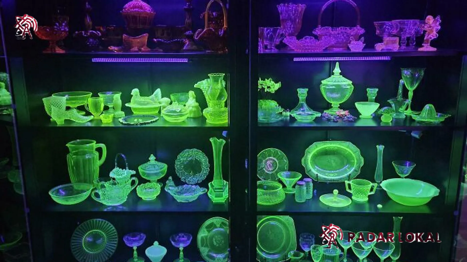 Seni Menemukan Keindahan dalam Keanehan: 8 Koleksi Barang Unik yang Berubah Menjadi Obsesi Luar Biasa