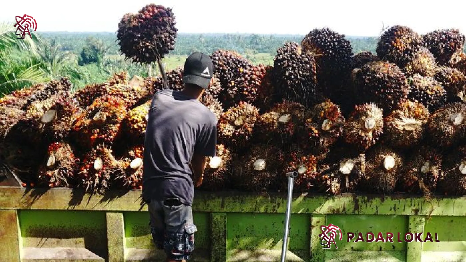 Dugaan Manipulasi Harga Ekspor CPO: RadarLokal Bongkar Skandal Wilmar dan Musim Mas yang Rugikan Negara