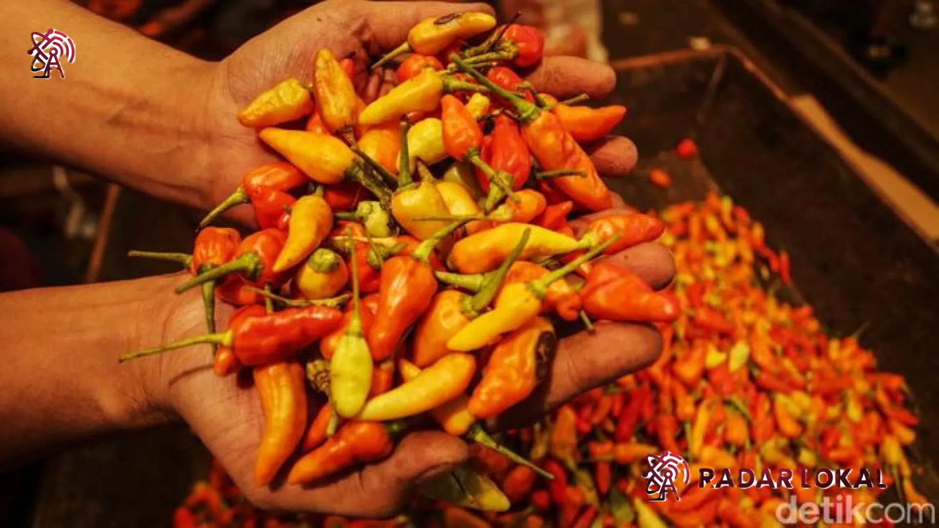 Harga Cabai Kian ‘Pedas’ di Hari Idul Adha: Rawit Merah Tembus Rp 75 Ribu, Simak Daftar Harga Pangan Terkini