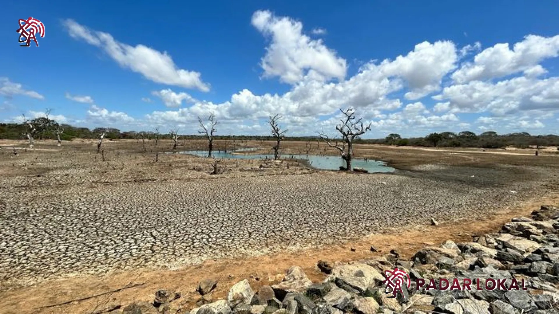 Misteri Samudra Pasifik: Bayang-bayang El Nino Super dan Trauma Bencana Global 1997-1998