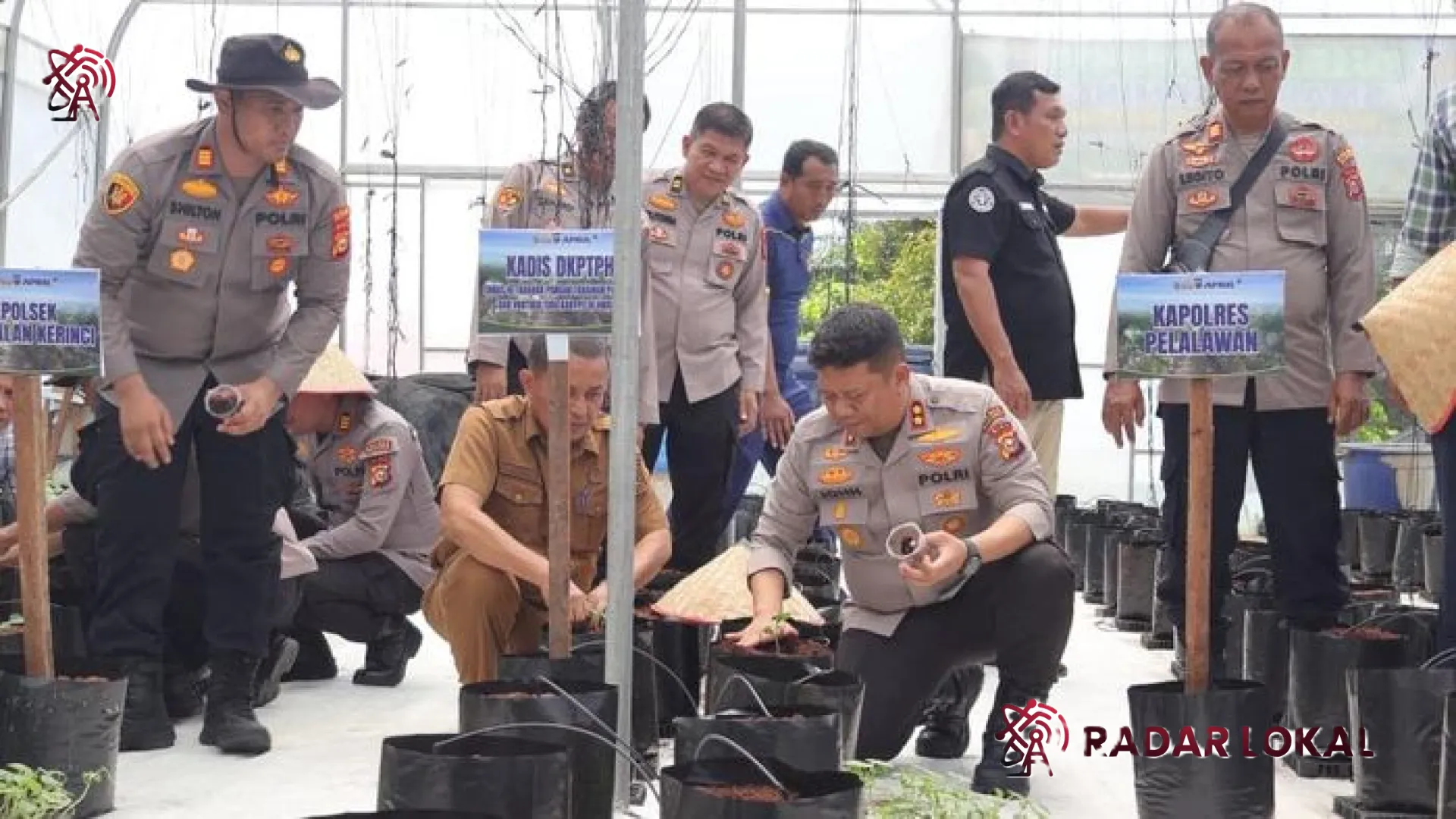 Revolusi Hijau di Balik Seragam Cokelat: Polsek Pangkalan Kerinci Sulap Lahan Tidur Jadi Green House Melon Premium