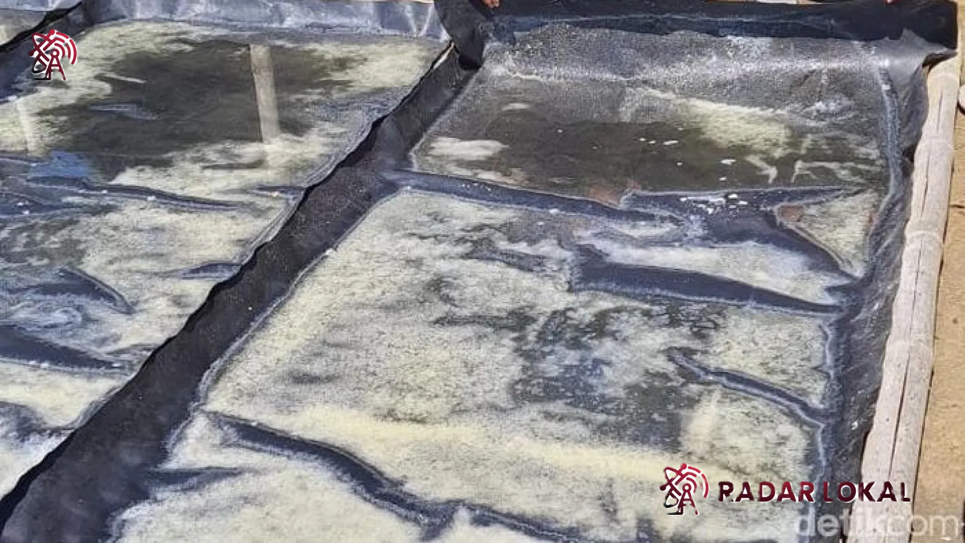 Garam Palungan Desa Les: Menilik Rahasia Emas Putih dari Pesisir Buleleng yang Mendunia