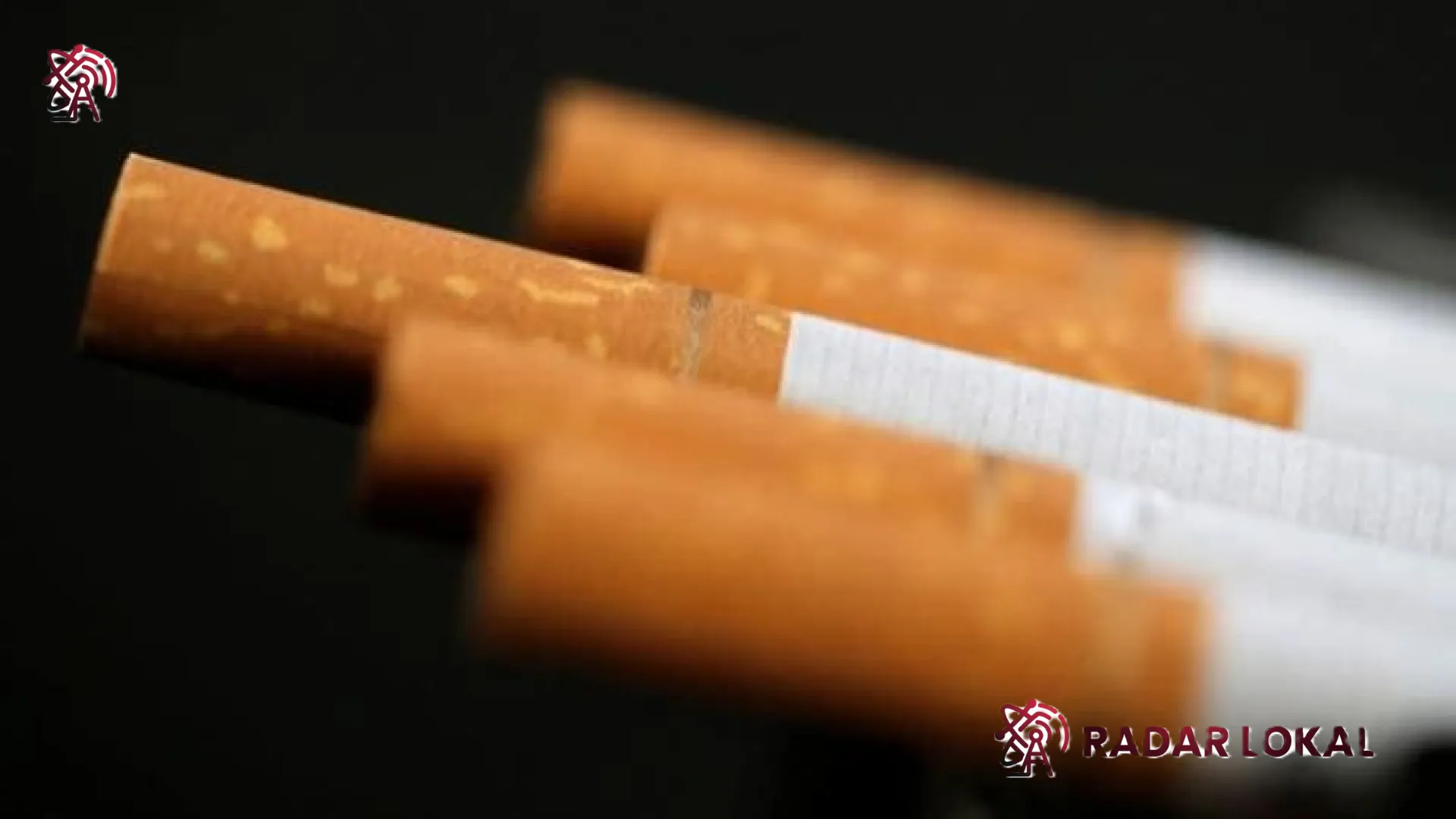 Kebijakan Kemasan Rokok Polos: Badai PHK Mengintai 6 Juta Pekerja, Industri Tembakau di Ujung Tanduk